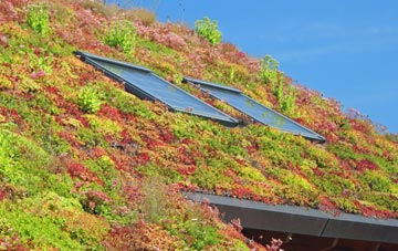 Old Bexley living roof systems